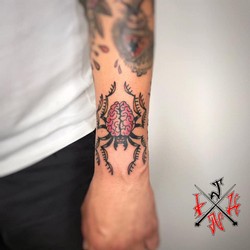 traditional-brain-spider-tattoo.jpg