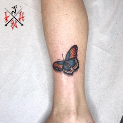 blue-butterfly-tattoo.jpg
